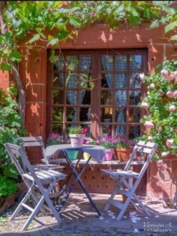 Le Parc Des 4 Saisons Bed and Breakfast Corrèze Exteriör bild